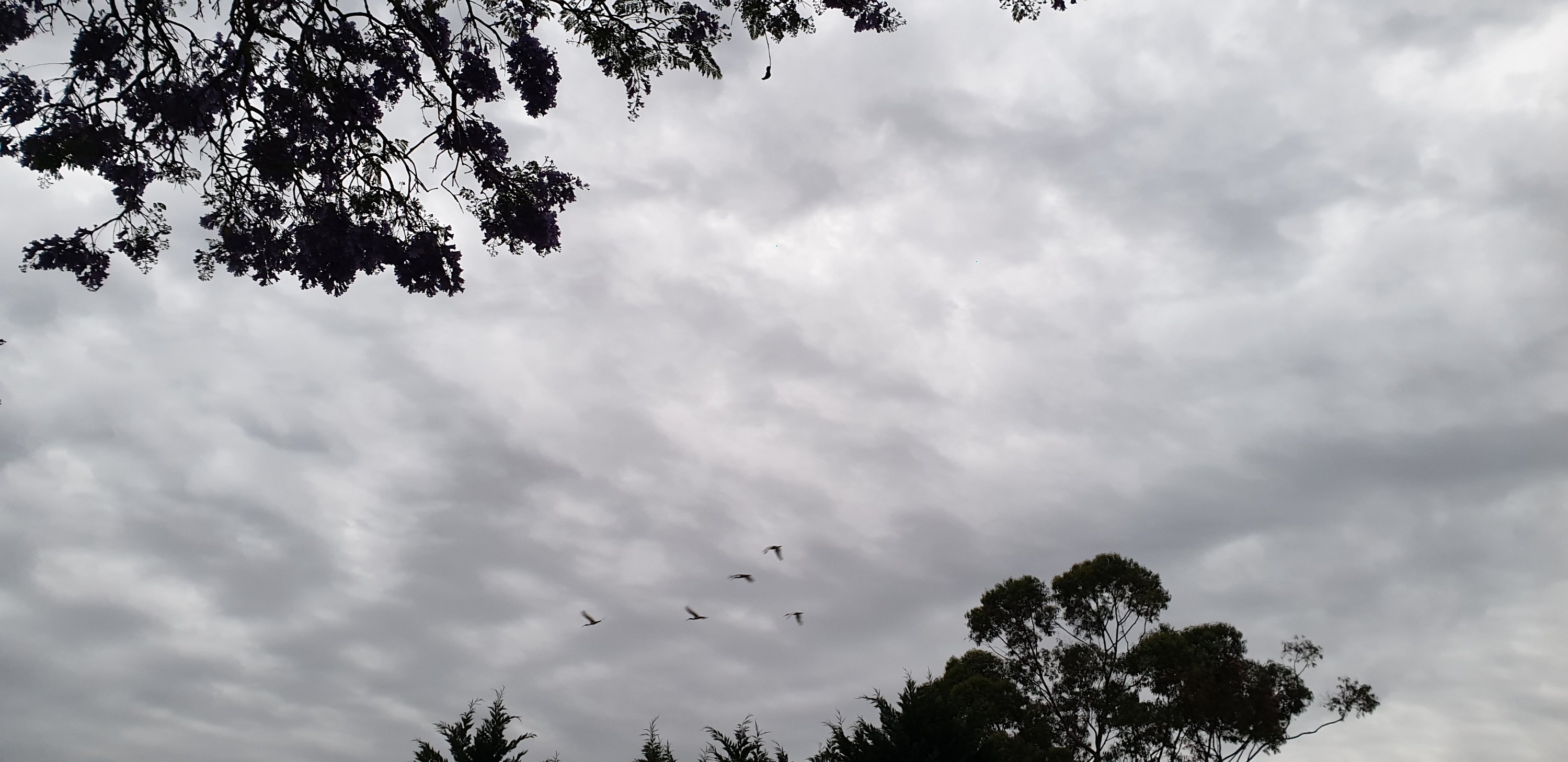 Stress, solutions, serving